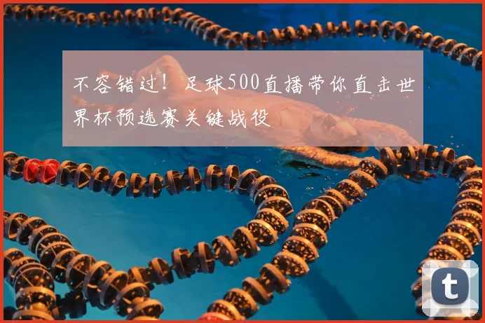 不容错过！足球500直播带你直击世界杯预选赛关键战役