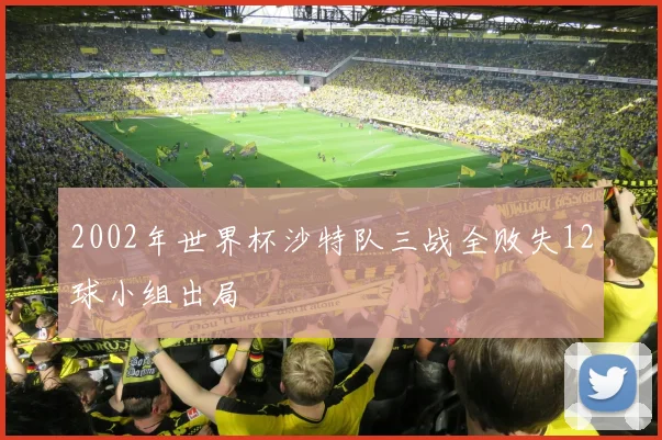 2002年世界杯沙特队三战全败失12球小组出局