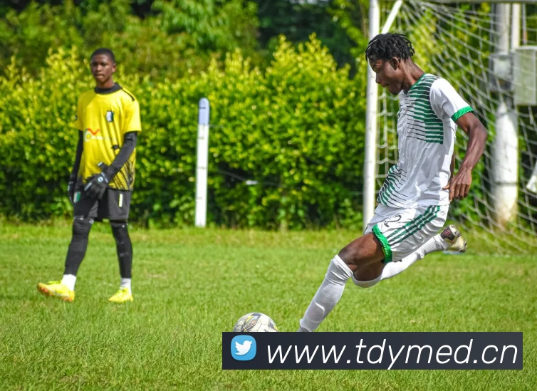 开云在线登录入口官网平台生态图